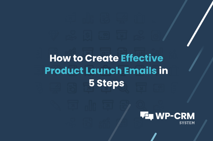 Crafting a Product Launch Email