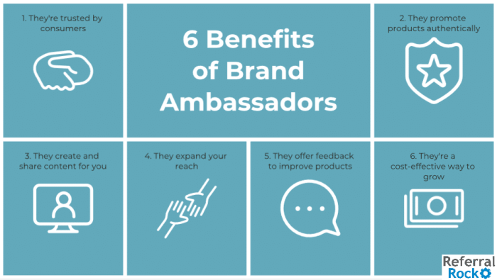 Brand Ambassador Program Ideas