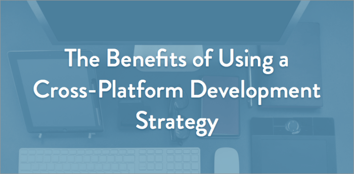 Developing a Cross-Platform Strategy