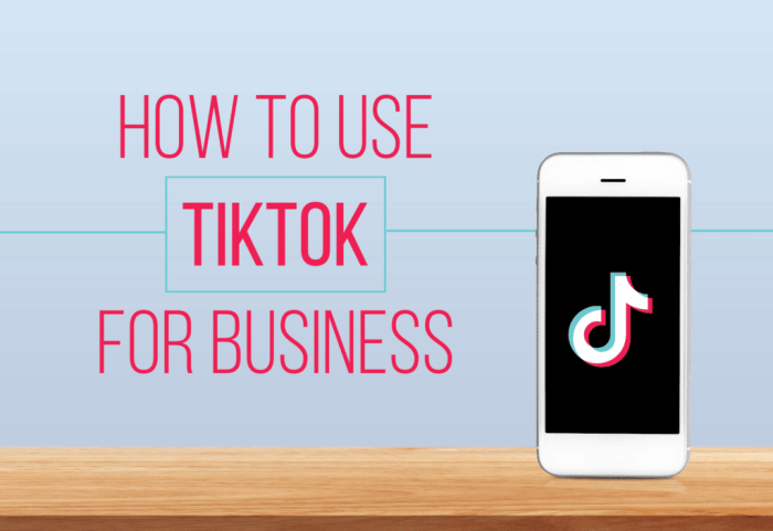 Using TikTok for Business